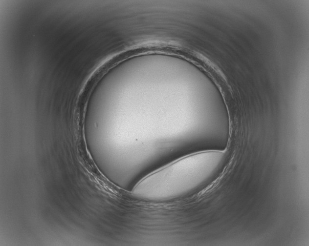 X0000084021021200702160821