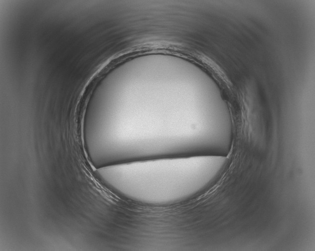 X0000084021023200702160821