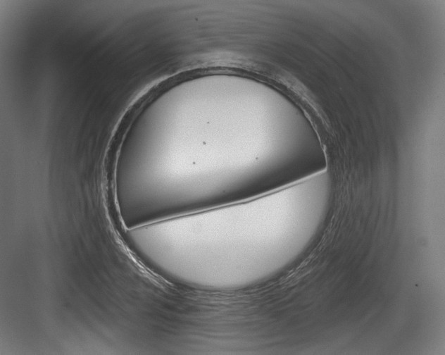 X0000084021024200702160821