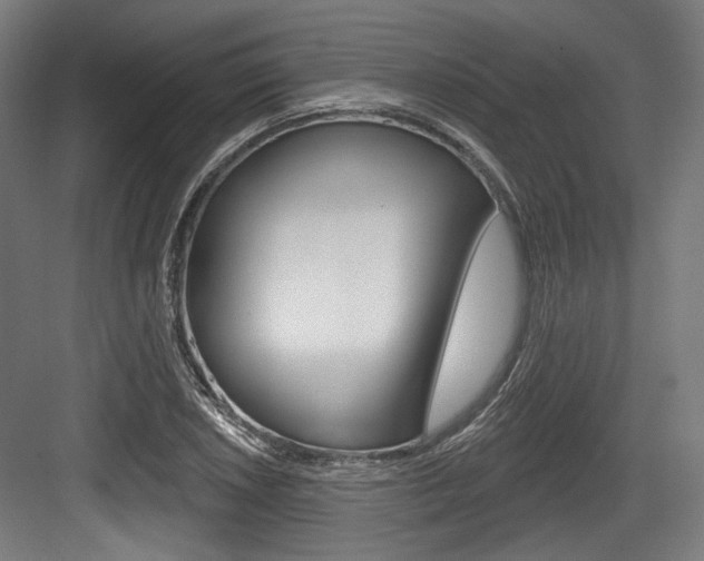 X0000084021026200702160821