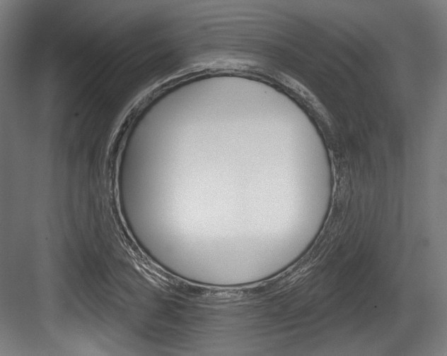 X0000084021027200702160821