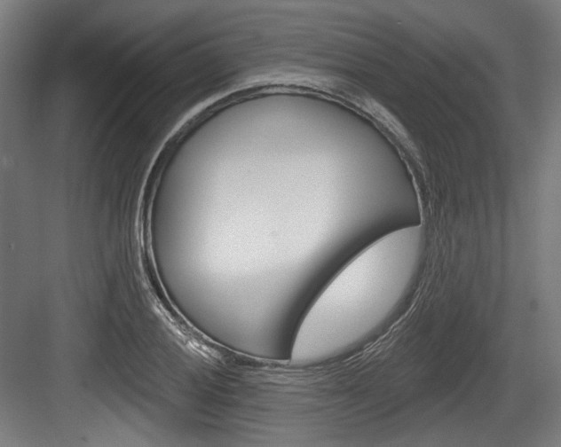 X0000084021028200702160821