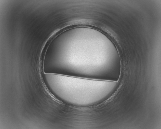X0000084021029200702160821