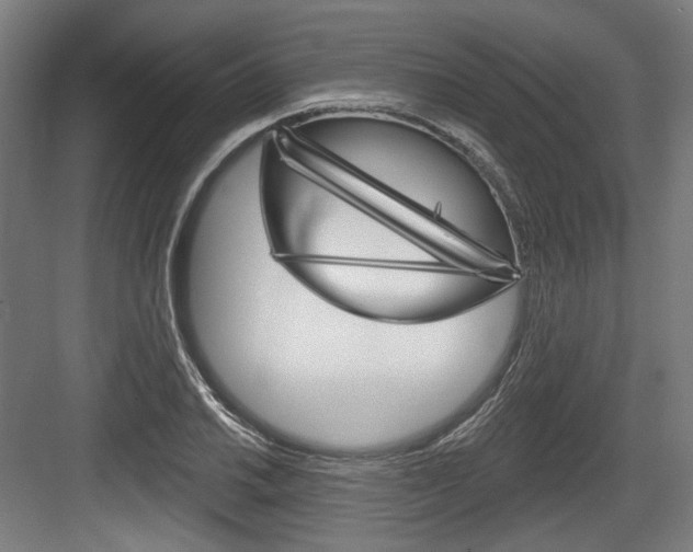 X0000084021030200702160821