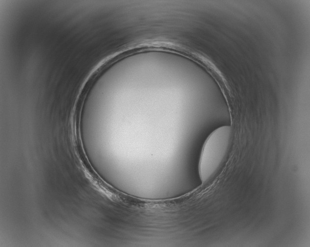 X0000084021032200702160821