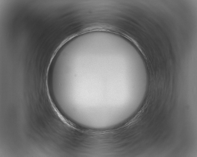 X0000084021034200702160821