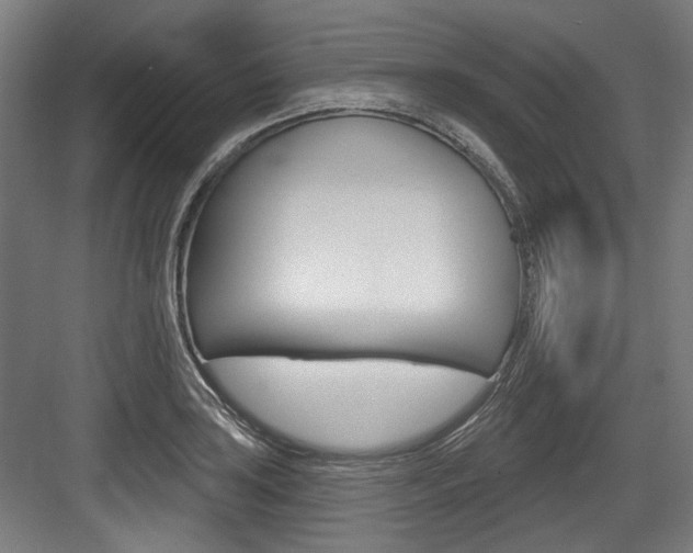 X0000084021035200702160821