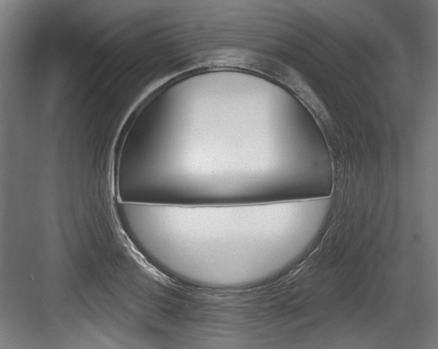 X0000084021036200702160821