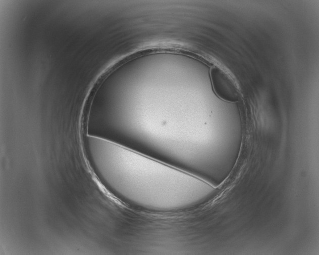 X0000084021037200702160821