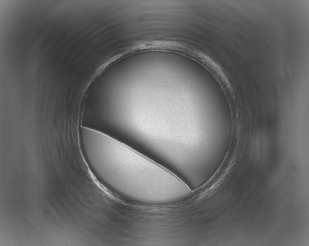 X0000084021041200702160821