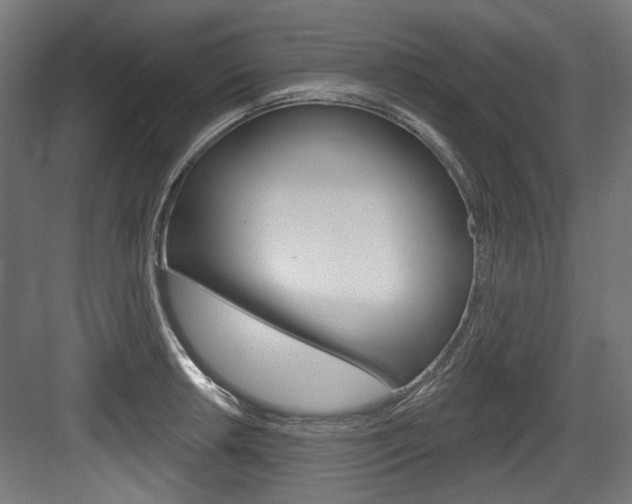 X0000084021042200702160821