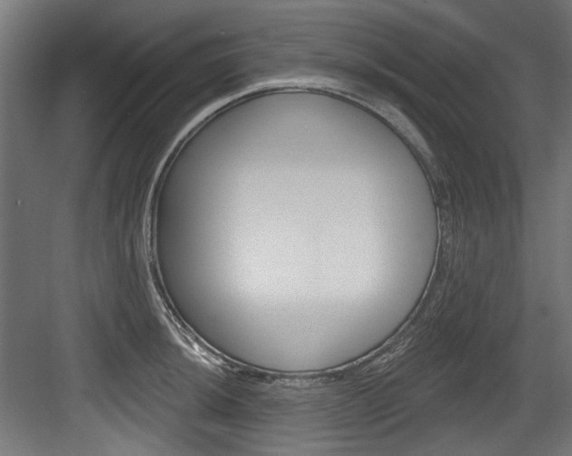 X0000084021044200702160821