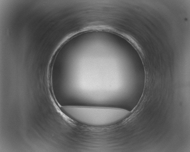 X0000084021046200702160821