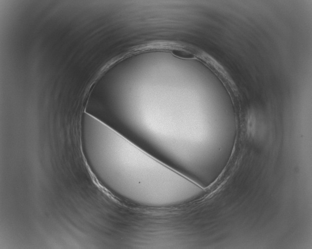 X0000084021049200702160821