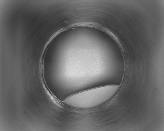 X0000084021050200702160821