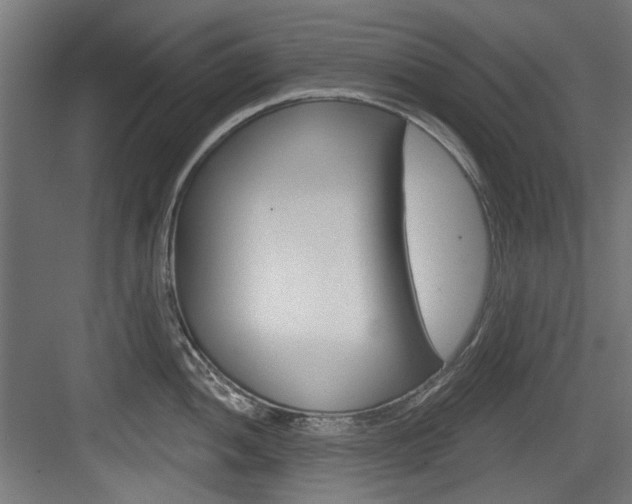 X0000084021052200702160821