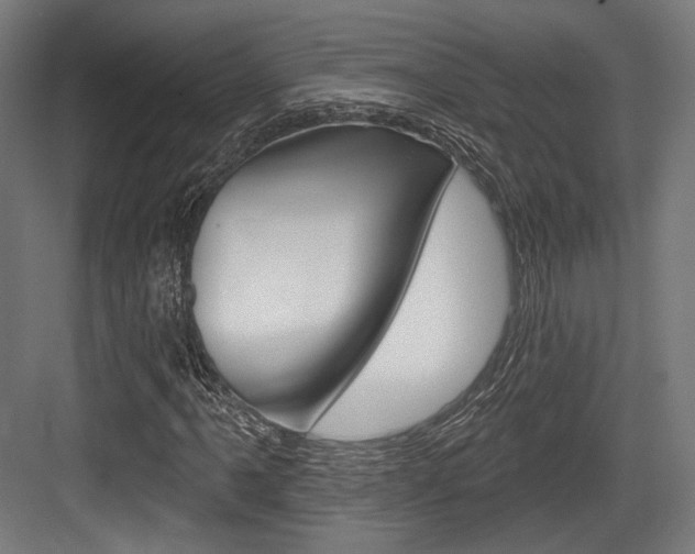 X0000084021061200702160820