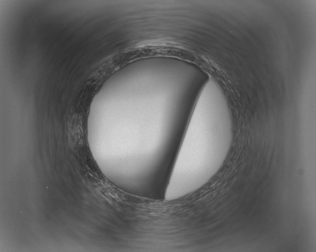 X0000084021062200702160820