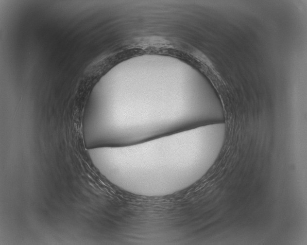 X0000084021063200702160820