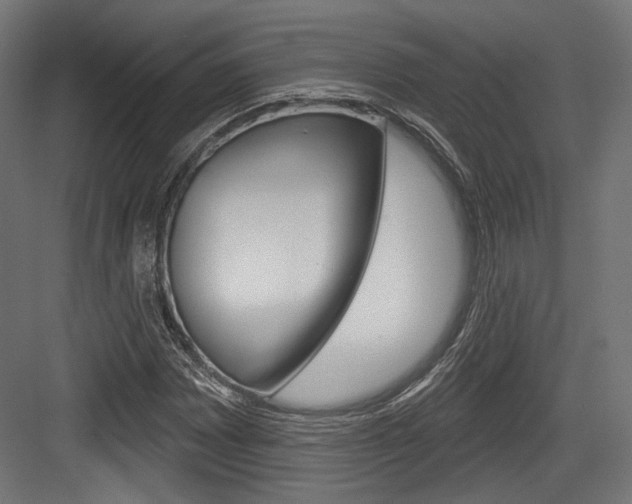 X0000084021065200702160820