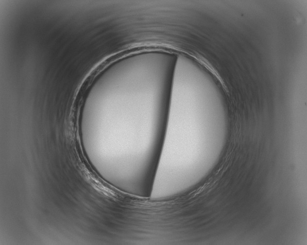 X0000084021068200702160820