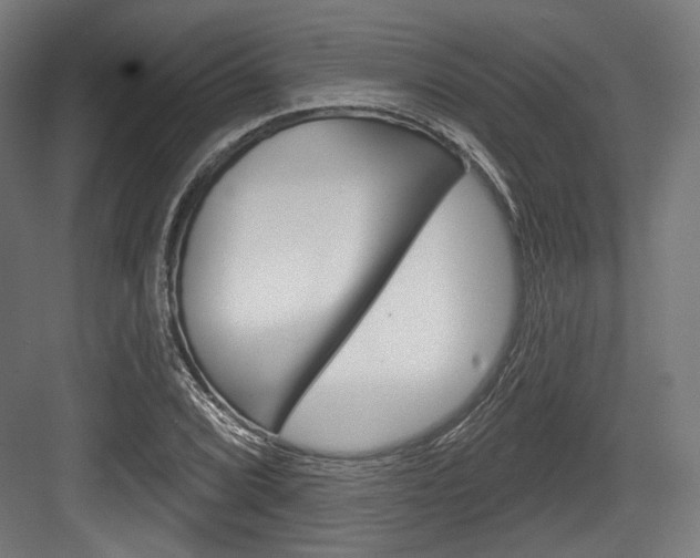 X0000084021072200702160820