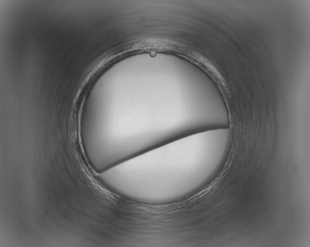 X0000084021075200702160820