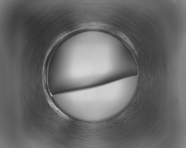 X0000084021080200702160820