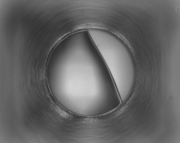 X0000084021081200702160820