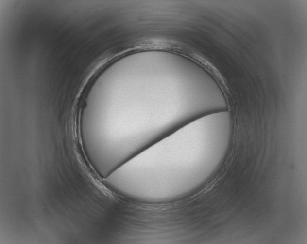 X0000084021083200702160820
