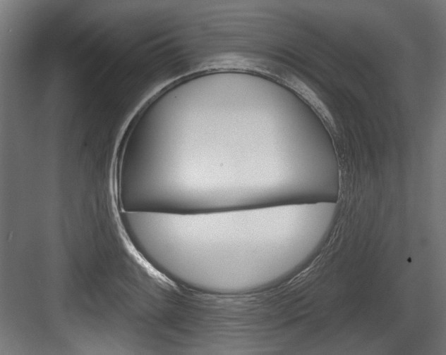 X0000084021084200702160820