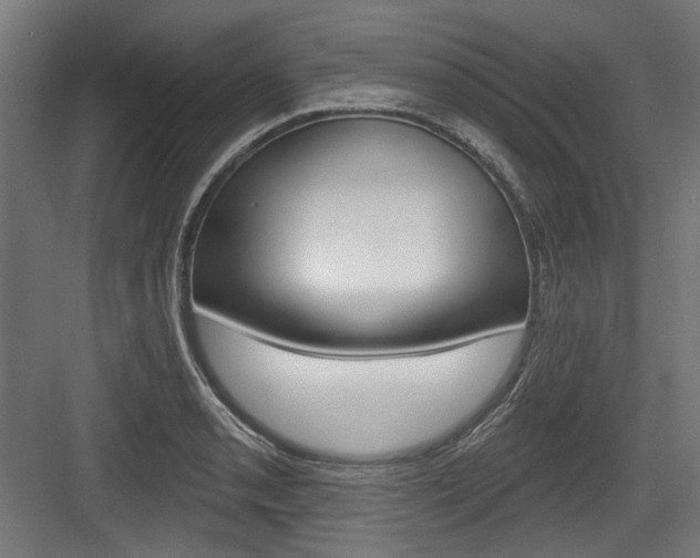X0000084021085200702160820