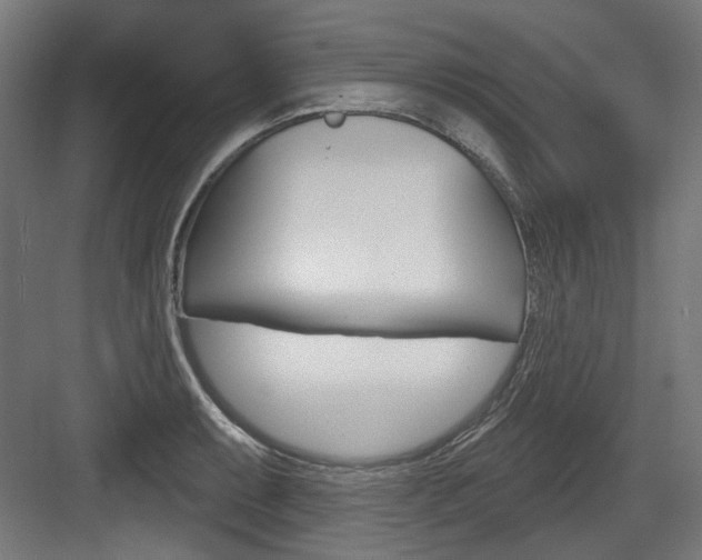 X0000084021087200702160820