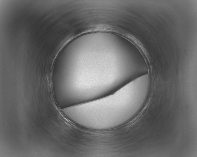 X0000084021097200702160820