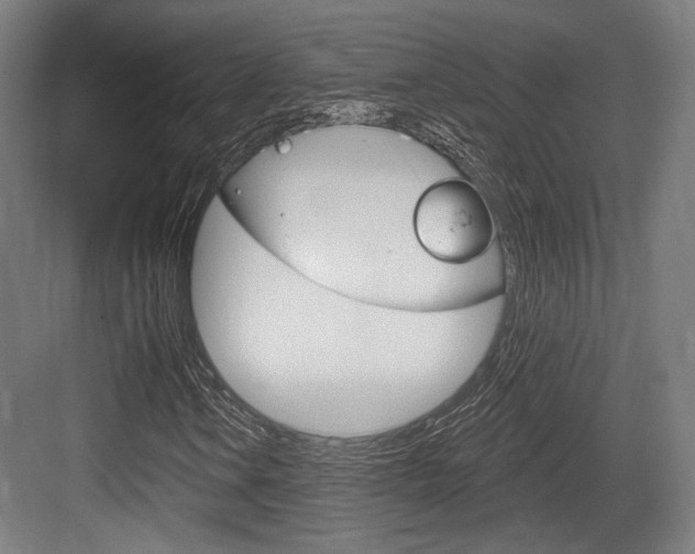 X0000084021106200702160819