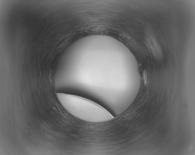 X0000084021107200702160819