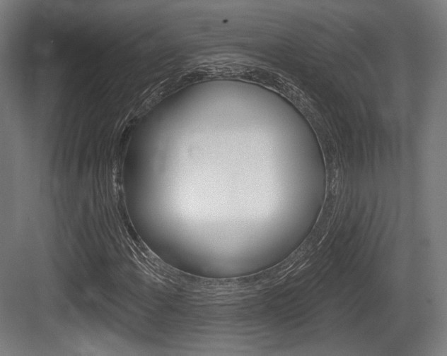 X0000084021108200702160819