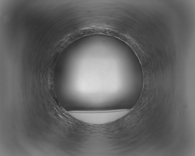 X0000084021110200702160819