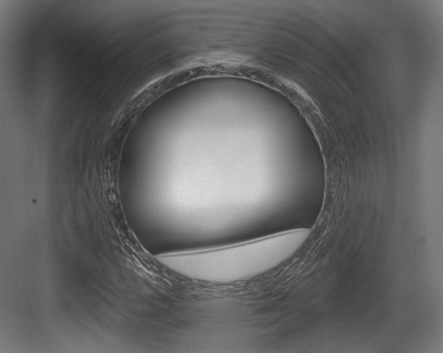X0000084021112200702160819