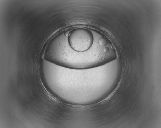 X0000084021113200702160819