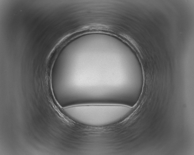 X0000084021115200702160819