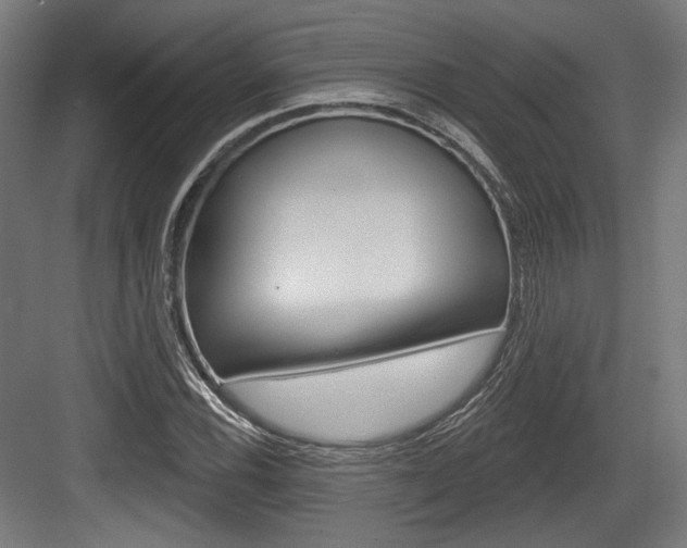 X0000084021116200702160819