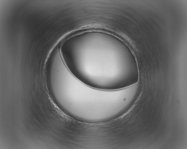 X0000084021118200702160819