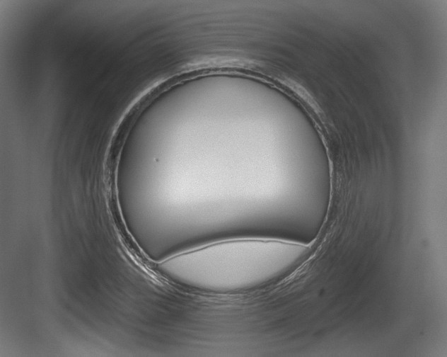 X0000084021119200702160819