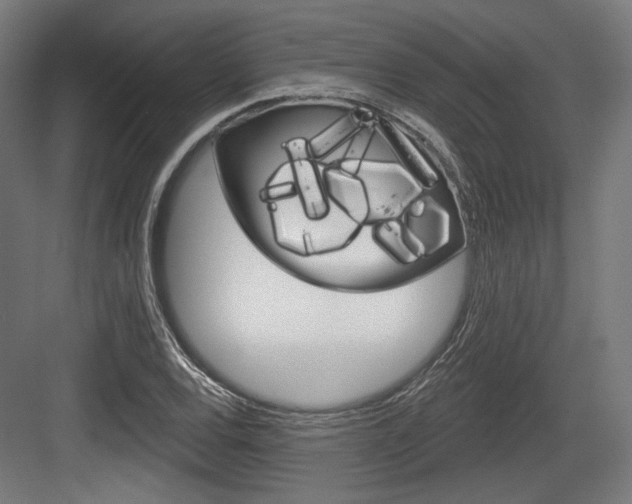 X0000084021120200702160819