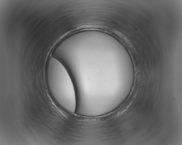 X0000084021121200702160819