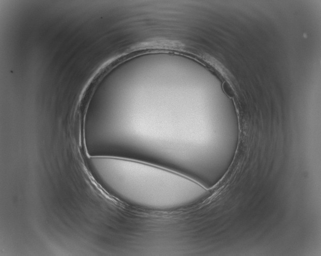 X0000084021123200702160819