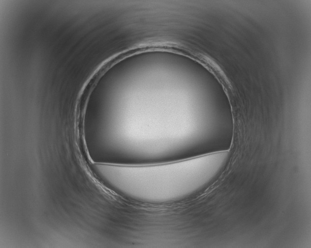 X0000084021124200702160819