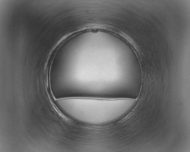 X0000084021127200702160819