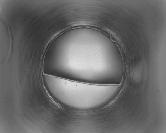 X0000084021129200702160819